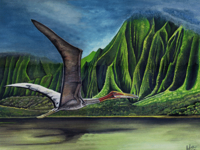 Hatzegopteryx
/ © Mihai Dragos Hatzegopteryx
/ © Mihai Dragos