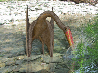 Huanhepterus
/ © Peter Montgomery. Creative Commons NonCommercial 2.0 Generic (CC BY-NC 2.0) Huanhepterus
/ © Peter Montgomery. Creative Commons NonCommercial 2.0 Generic (CC BY-NC 2.0)