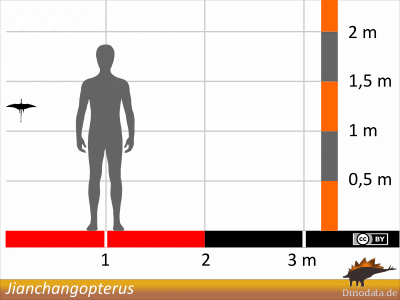 Größenvergleich / ©  Dinodata.de