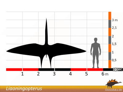 Größenvergleich / Dinodata.de. Creative Commons 4.0 International (CC BY 4.0)