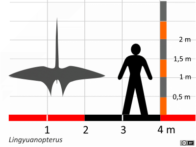 Größenvergleich / Dinodata.de. Creative Commons 4.0 International (CC BY 4.0) Größenvergleich / Dinodata.de. Creative Commons 4.0 International (CC BY 4.0)