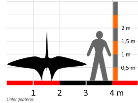 Größenvergleich © Dinodata.de. Creative Commons 4.0 International (CC BY 4.0) Größenvergleich / Dinodata.de. Creative Commons 4.0 International (CC BY 4.0)