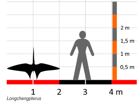 Größenvergleich / Dinodata.de. Creative Commons 4.0 International (CC BY 4.0)