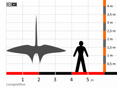 Größenvergleich / Dinodata.de. Creative Commons 4.0 International (CC BY 4.0) Größenvergleich / Dinodata.de. Creative Commons 4.0 International (CC BY 4.0)