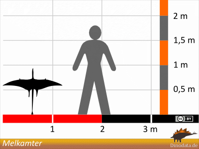Größenvergleich / Dinodata.de. Creative Commons 4.0 International (CC BY 4.0) Größenvergleich / Dinodata.de. Creative Commons 4.0 International (CC BY 4.0)