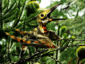 Nemicolopterus
 / © Alain Beneteau. Verwendet mit freundlicher Genehmigung des Autors