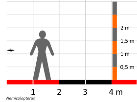 Größenvergleich / Dinodata.de. Creative Commons 4.0 International (CC BY 4.0)