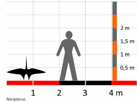 Größenvergleich / Dinodata.de. Creative Commons 4.0 International (CC BY 4.0)