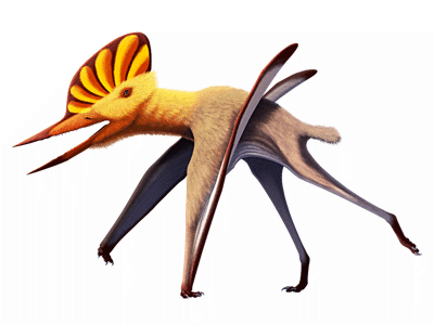 Noripterus / © Nix Illustration