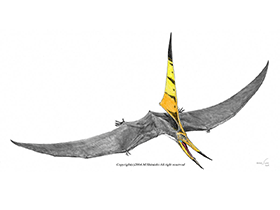 Nyctosaurus /© Mineo Shiraishi. Verwendet mit freundlicher Genehmigung des Autors. Nyctosaurus /© Mineo Shiraishi. Verwendet mit freundlicher Genehmigung des Autors.