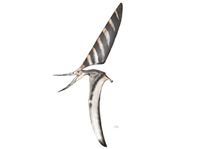 Nyctosaurus / © Sergio Perez Nyctosaurus / © Sergio Perez. Verwendet mit freundlicher Genehmigung des Autors.