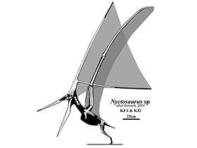 Nyctosaurus / Jaime Headden. Creative Commons NonCommercial-NoDerivs 3.0 Unported (CC BY-NC-ND 3.0) Nyctosaurus / Jaime Headden. Creative Commons NonCommercial-NoDerivs 3.0 Unported (CC BY-NC-ND 3.0)