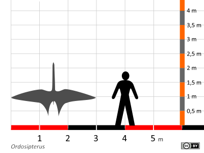 Größenvergleich / Dinodata.de. Creative Commons 4.0 International (CC BY 4.0)