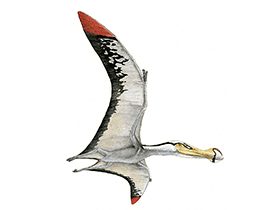 Ornithocheirus / © Julius Csotonyi. Verwendet mit freundlicher Genehmigung des Autors