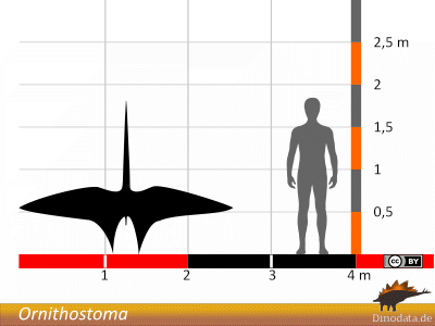 Größenvergleich / ©  Dinodata.de