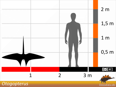 Größenvergleich / ©  Dinodata.de