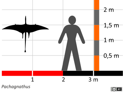Größenvergleich / Dinodata.de. Creative Commons 4.0 International (CC BY 4.0) Größenvergleich / Dinodata.de. Creative Commons 4.0 International (CC BY 4.0)