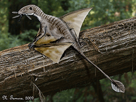 Peteinosaurus
/ © N. Tamura. Verwendet mit freundlicher Genehmigung des Autors Peteinosaurus
/ © N. Tamura. Verwendet mit freundlicher Genehmigung des Autors