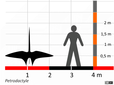 Größenvergleich / Dinodata.de. Creative Commons 4.0 International (CC BY 4.0) Größenvergleich / Dinodata.de. Creative Commons 4.0 International (CC BY 4.0)
