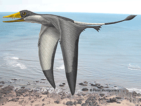 Preondactylus / Peter Montgomery. Creative Commons NonCommercial 2.0 Generic (CC BY-NC 2.0) Preondactylus / Peter Montgomery. Creative Commons NonCommercial 2.0 Generic (CC BY-NC 2.0)