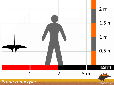 Größenvergleich / Dinodata.de. Creative Commons 4.0 International (CC BY 4.0) Größenvergleich / Dinodata.de. Creative Commons 4.0 International (CC BY 4.0)