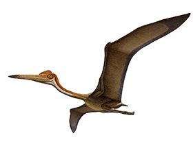 Quetzalcoatlus / © Raul Martin Quetzalcoatlus / © Raul Martin. Verwendet mit freundlicher Genehmigung des Autors.