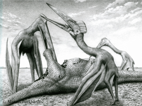 Quetzalcoatlus / © Marcus Burkhardt. Verwendet mit freundlicher Genehmigung des Autors.