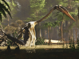 Quetzalcoatlus
/ © James Kuether. Verwendet mit freundlicher Genehmigung des Autors Quetzalcoatlus
/ © James Kuether. Verwendet mit freundlicher Genehmigung des Autors