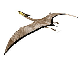 Quetzalcoatlus / © Mineo Shiraishi Quetzalcoatlus / © Mineo Shiraishi. Verwendet mit freundlicher Genehmigung des Autors.
