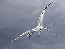 Rhamphorhynchus / © Alain Beneteau. Verwendet mit freundlicher Genehmigung des Autors. Rhamphorhynchus / © Alain Beneteau. Verwendet mit freundlicher Genehmigung des Autors.