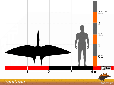 Größenvergleich / © Dinodata.de Größenvergleich / © Dinodata.de