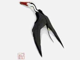 Scaphognathus / © Daniel Bensen. Verwendet mit freundlicher Genehmigung des Autors Scaphognathus / © Daniel Bensen. Verwendet mit freundlicher Genehmigung des Autors