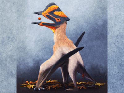 Sinopterus / © Nix Illustration