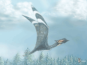 Sinopterus /
© Alain Beneteau. Verwendet mit freundlicher Genehmigung des Autors Sinopterus /
© Alain Beneteau. Verwendet mit freundlicher Genehmigung des Autors
