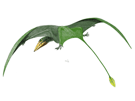 Sordes
 / © M. Shiraishi. Verwendet mit freundlicher Genehmigung des Autors