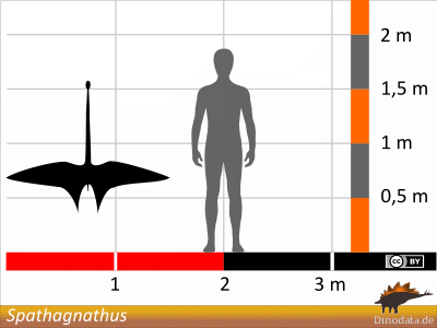 Größenvergleich / Dinodata.de. Creative Commons 4.0 International (CC BY 4.0) Größenvergleich / Dinodata.de. Creative Commons 4.0 International (CC BY 4.0)