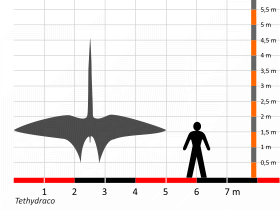 Größenvergleich / Dinodata.de. Creative Commons 4.0 International (CC BY 4.0) Größenvergleich / Dinodata.de. Creative Commons 4.0 International (CC BY 4.0)