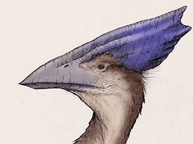 Thalassodromeus / © Maija Karala. Verwendet mit freundlicher Genehmigung der Autorin Thalassodromeus / © Maija Karala. Verwendet mit freundlicher Genehmigung der Autorin