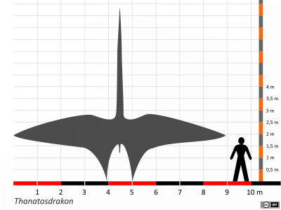 Größenvergleich / Dinodata.de. Creative Commons 4.0 International (CC BY 4.0) Größenvergleich / Dinodata.de. Creative Commons 4.0 International (CC BY 4.0)