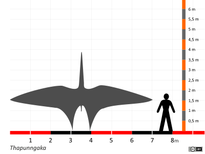 Größenvergleich / Dinodata.de. Creative Commons 4.0 International (CC BY 4.0) Größenvergleich / Dinodata.de. Creative Commons 4.0 International (CC BY 4.0)
