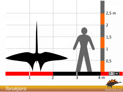Größenvergleich / Dinodata.de. Creative Commons 4.0 International (CC BY 4.0) Größenvergleich / Dinodata.de. Creative Commons 4.0 International (CC BY 4.0)
