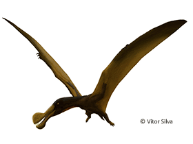Tropeognathus (Ornithocheirus) / © Vitor Silva. Verwendet mit freundlicher Genehmigung des Autors Tropeognathus (Ornithocheirus) / © Vitor Silva. Verwendet mit freundlicher Genehmigung des Autors