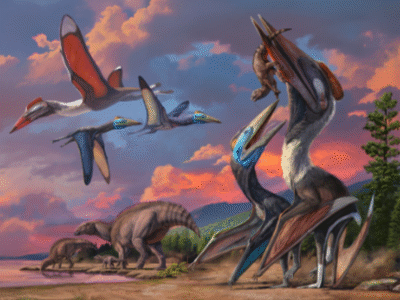 Die Koexistenz von Gobiazhdarcho tsogtbaatari und Tsogtopteryx mongoliensis in der Bayanshiree-Paläoumgebung, mit einer Gruppe von Gobihadros mongoliensis in der Nähe Die Koexistenz von Gobiazhdarcho tsogtbaatari und Tsogtopteryx mongoliensis in der Bayanshiree-Paläoumgebung, mit einer Gruppe von Gobihadros mongoliensis in der Nähe
