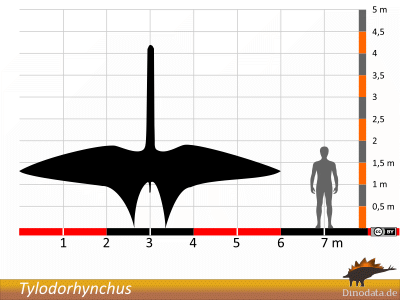 Größenvergleich / ©  Dinodata.de