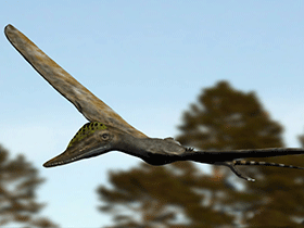 Wukongopterus / © N. Tamura. Verwendet mit freundlicher Genehmigung des Autors.