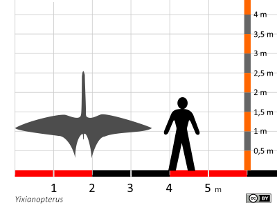 Größenvergleich / Dinodata.de. Creative Commons 4.0 International (CC BY 4.0)