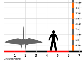 Größenvergleich / Dinodata.de. Creative Commons 4.0 International (CC BY 4.0) Größenvergleich / Dinodata.de. Creative Commons 4.0 International (CC BY 4.0)
