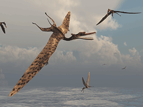 Zhenyuanopterus
 / © Raul Lunia. Verwendet mit freundlicher Genehmigung des Autors