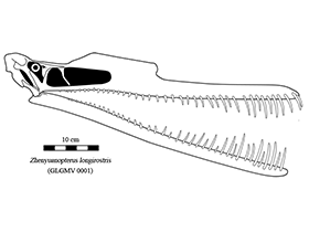 Zhenyuanopterus
 / © Ville Sinkkonen. Verwendet mit freundlicher Genehmigung des Autors