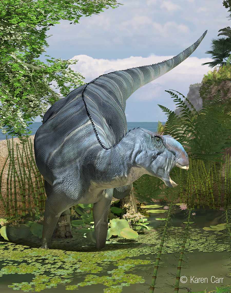 Gryposaurus / © Karen Carr